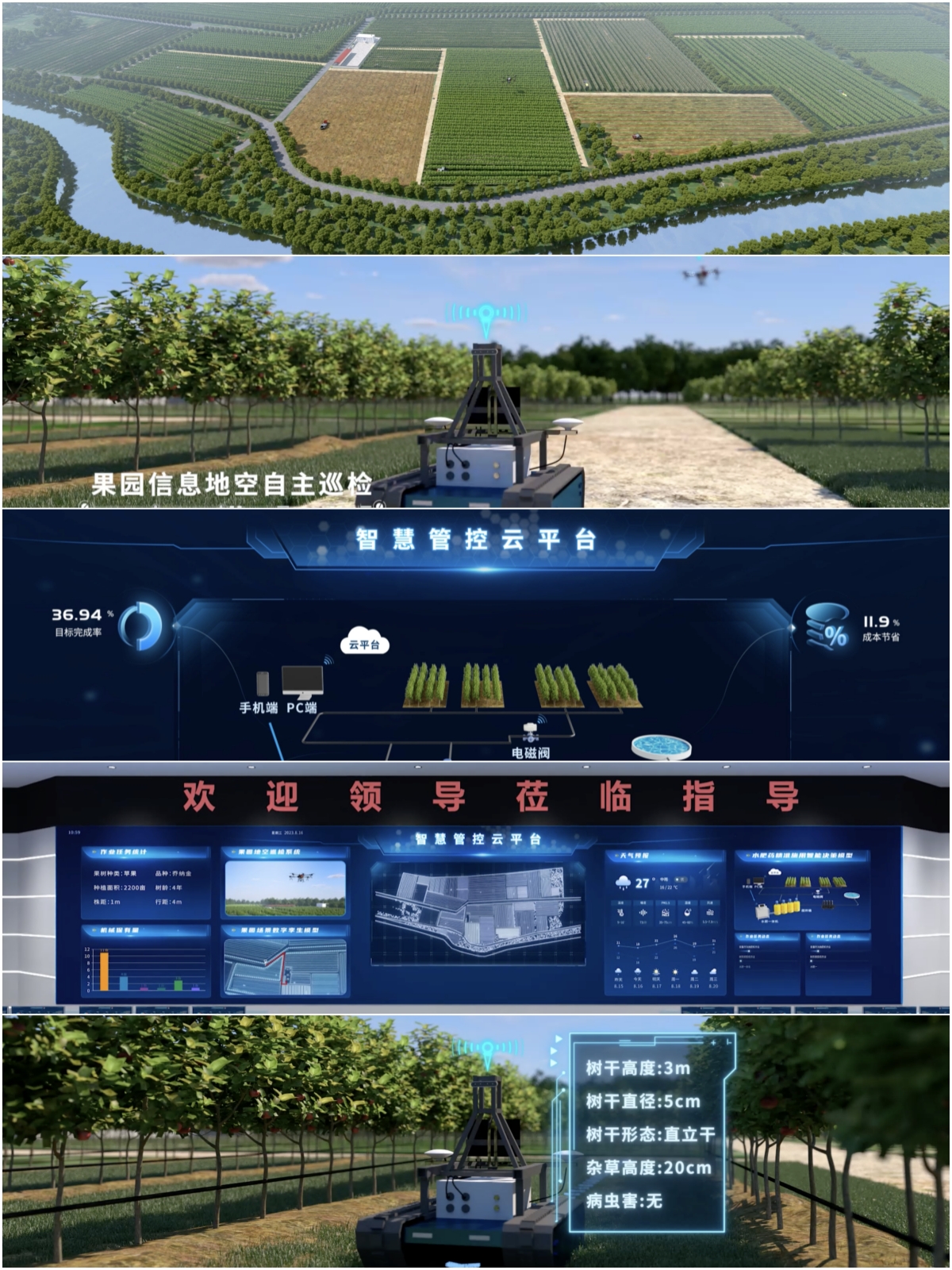 三维效果展示